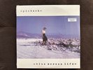 Pinback Blue Screen Life Original Vinyl Pressing Clear Ace Fu Records  Unopened