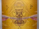 Devendra Banhart – What Will We Be AUTOGRAPHED 180g GATEFOLD Vinyl 2LP / Folk