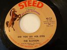 GARAGE PSYCH-THE ILLUSION-DID YOU SEE HER EYES-STEED