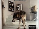 Grinderman - Grinderman 2 Vinyl Brand New Sealed RARE