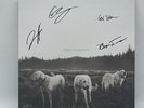NEW Foxing The Albatross Glow In The Dark SIGNED Vinyl LP GITD Record AUTOGRAPH