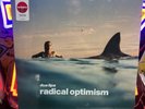 Dua Lipa - Radical Optimism - Limited Edition Ruby Red Vinyl LP - Target Excl