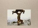 SHELLAC -  Dude Incredible LP 180g Vinyl Touch and Go 2014