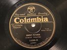 BLUES CURLEY WEAVER Sweet Petunia / No No Blues COLUMBIA 14386 V+