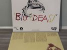 REMI WOLF Big Ideas LP Blood Records Frog Rock Edition Vinyl LE /500 ️