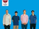Weezer - US Exclusive Blue & White Marble Vinyl LP - Weezer 20