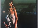 Linda Ronstadt - Hasten Down The Wind (Vinyl LP - 1976 - JP - Reissue)