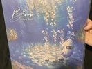 Bloop Relaxing Waters VGM Vinyl Record NOT MOONSHAKE.  RARE, MINT CONDITION