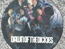 THE DICKIES DAWN OF THE DICKIES SIGNED PICTURE DISC  VINYL LP