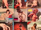 SEXY COVER CHEESECAKE SEKAI NO YORU PLAY GUIDE CARD 36 PICS JAPAN 8INCH FLEXI X2