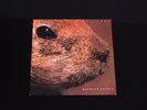 Butthole Surfers ‎– Pepper Capitol Records ‎– SPRO-11230 PROMO 10