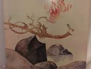 Shakti   with  John McLaughlin  LP Natural Elements