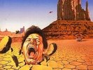 Tygers of Pan Tang Burning in the Shade (Transparent (Vinyl)