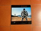 Pink Floyd - Delicate Sound Of Thunder (1988) - 2LP / Etichetta EMI