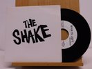 The Shake Michigan power pop 45 I Got My Eye On You bw CTA on Whats Left Records
