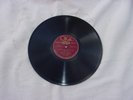Charlie Troutt's Melody Artists--OKeh 40589--Mountain City Blues--1926