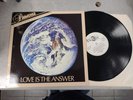Paradise Love Is The Answer Vinyl LP 12
