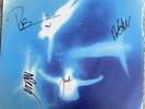 The K’s I Wonder If The World Knows Blue Vinyl Album Signed