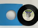 NORMAN FOX & THE ROB-ROYS, TELL ME WHY-(PROMO) 45 RPM RECORD VG + COND' A11