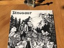 Dinosaur Jr. Self Titled First Repress Before Name Change Read Description