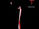 Steely Dan - Aja - Vinyl LP  (USA 1977 ) new reissue