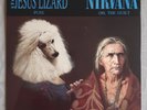 Jesus Lizard / Nirvana split single, 7