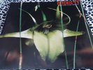 PSYCHIC TV LP DREAMS LESS SWEET 1983 UK IMPORT RARE GENESIS P ORRIDGE COIL