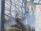 Cardiacs - On Land And In The Sea (Alphabet) ex-BBC Record Library, EXC. Cond.