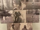 Taylor Swift Folklore Marbled Alternative Covers Set Of 8 Vinyl LP