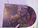 Dance Club Massacre - Feast Of The Blood Monsters WAX VESSEL/50 Cobweb Mage Rare