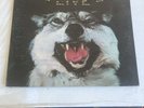 STEPPENWOLF LIVE 1ST PRESSING 1/1/1/1 GATEFOLD 2 RECORD SET VG++