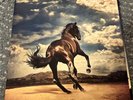 Western Stars Bruce Springsteen 2019 - 2 x BLUE VINYL LP - played once with care