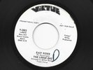 GARAGE FUZZ PUNK  bw/ PSYCH-45 - LOOSE ENZ - EASY RIDER  -HEAR -1968 DJ VIRTUE