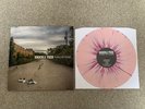 Knuckle Puck The Weight That You Buried Vinyl 3rd Press Pink Black Splatter /200
