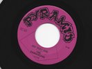GARAGE PUNK 45 - DAMASCANS - GO 'WAY GIRL  /  DIANE  -HEAR - 1966 N.C. PYRAMID