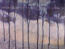 CAMERA OBSCURA - Desire Lines - Vinyl (gatefold LP + CD)