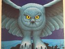 RUSH – FLY BY NIGHT - VINYL LP BLACK SRM-1-1023 - PHONOGRAM 1975 - VG+ - H