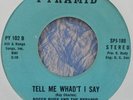 RARE WISCONSIN ROCK Chippewa Falls Roger Rudy Pyramid CCR Travelin Band 45 WI