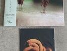 Inoyama Land - Commissions: 1977-2000 2x LP New Color Vinyl - Empire Of Signs
