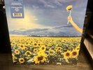 Stone Temple Pilots - Thank You: Limited Sky Blue Double 12