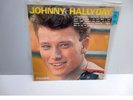 johnny hallyday 25 cm