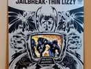 Thin Lizzy Jailbreak 1976 Vinyl Record Vertigo 9102 008 Free UK Post Rock