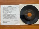 Lizerds 7” 45 Is It Late/out Of My Hands RARE Punk With Lyric Insert