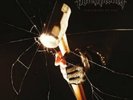 BLACK BREATH - SENTENCED TO LIFE NEW VINYL