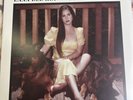 *CHEAPEST* Lana Del Rey - Blue Banisters 2 LP open   Vinyl LP Explicit Album