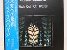 CHRIS SQUIRE / FISH OUT OF WATER JAPAN ISSUE LP W/OBI, INSERT