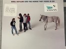 Soul Asylum - And The Horse They Rode In On US Orig Press Blue Vinyl Promo New