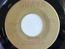 The Turbulations “I’m In Love”/“Everything Seems To Change” Guava 1969 Soul