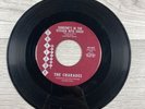 The Charades Flamingo / Someone’s In The Kitchen With Dinah 45 RPM Skylark 7”