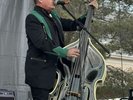 Stray Cats Records Memphis Flash